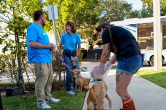 Video-Assist_0055-0001112