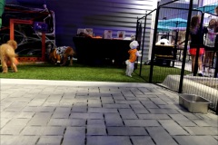 Video-Assist_0055-0003049