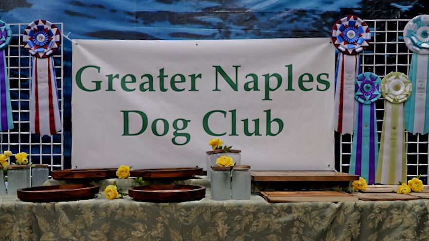 From Grooming Tables to Show Rings: Inside the 2025 AKC Dog Shows in Fort Myers
