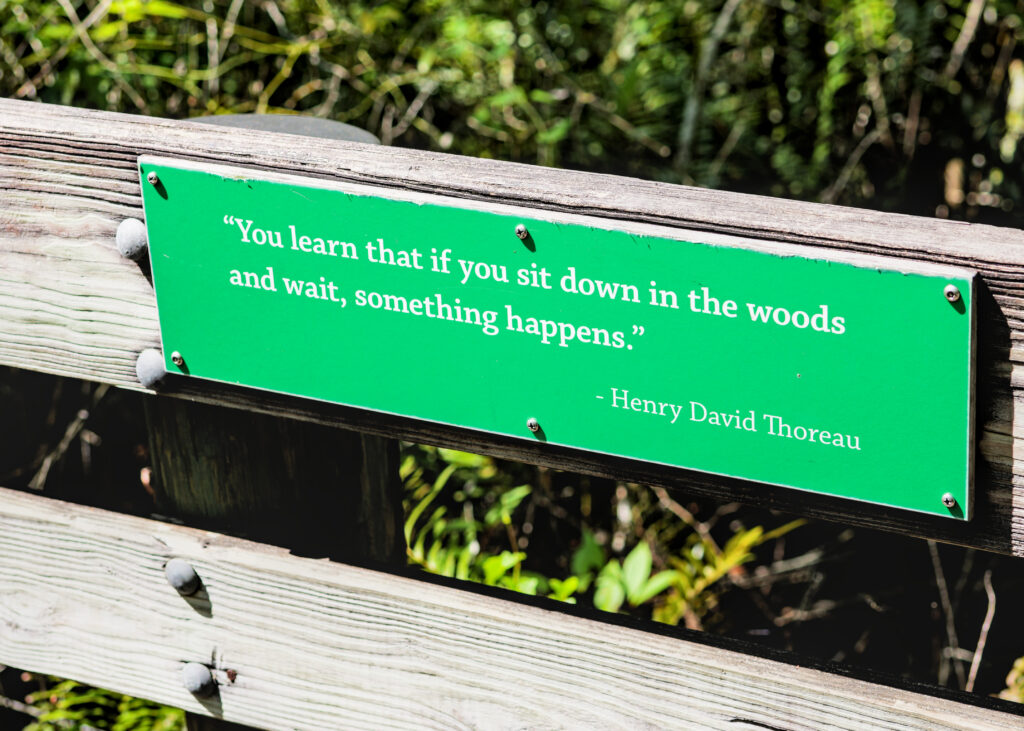 A small sign on the boardwalk railing quoting Thoreau.
