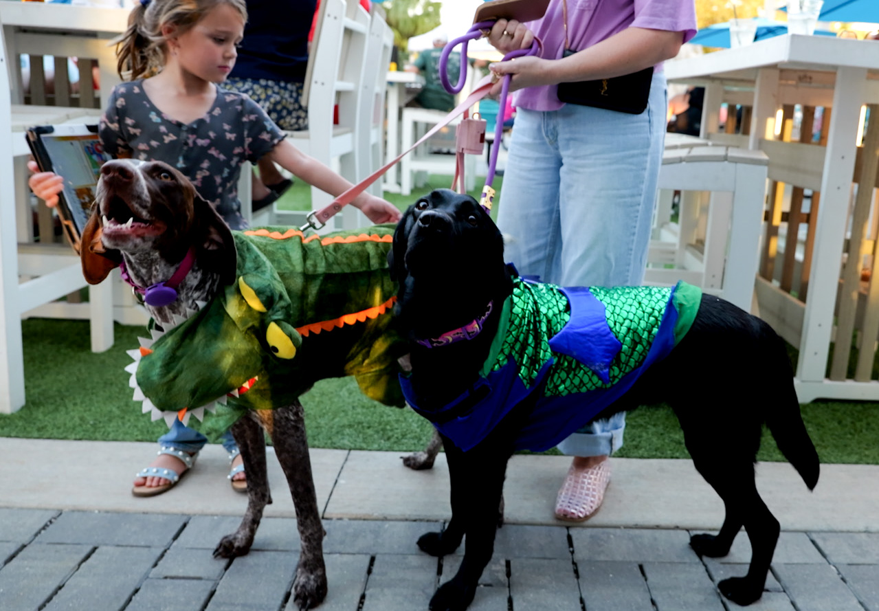 Wooftop Fest Halloween Edition Brings Dog Costumes, Live Music, and Community to The Rooftop at Riverside